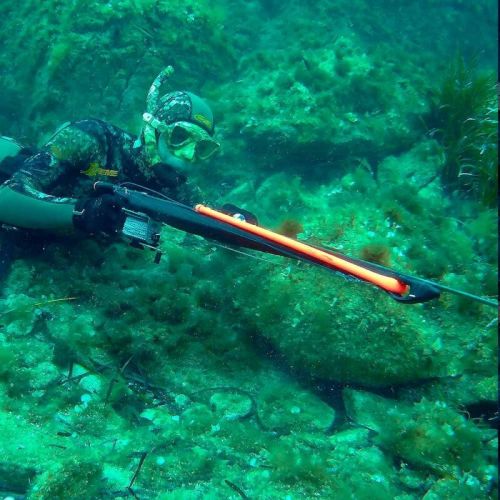 Arbalète Chasse Sous Marine C4 Gladius Speargun 